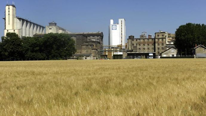 Dans le cadre de la démarche Semons du Sens qui vise à réduire l’empreinte carbone, le groupe Soufflet s’engage à diminuer celle de la filière orge de 50 % d’ici 2030. © PHILIPPE MONTIGNY/FILIMAGES